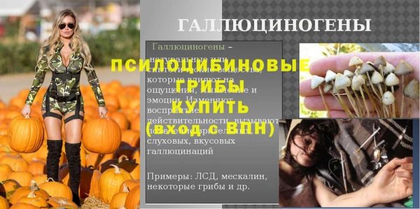 jwh Богородск